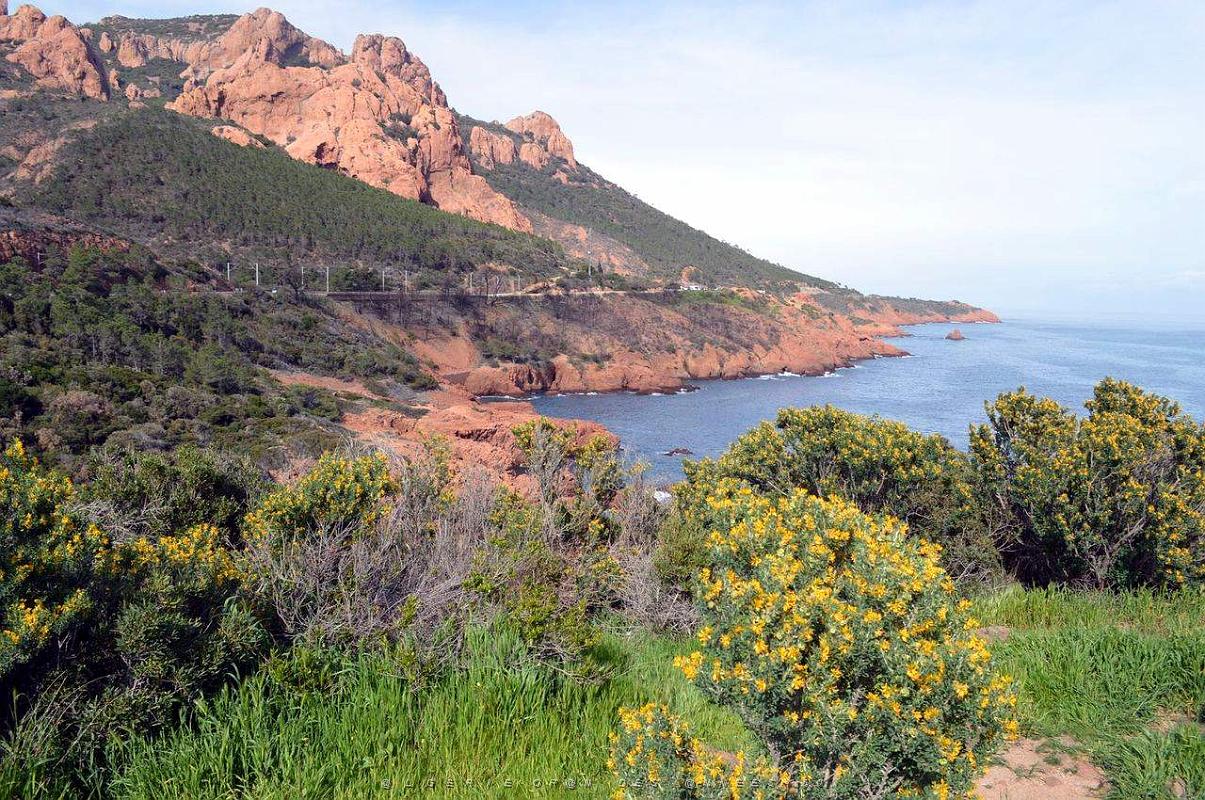 114- de Antheor aTheoule.JPG